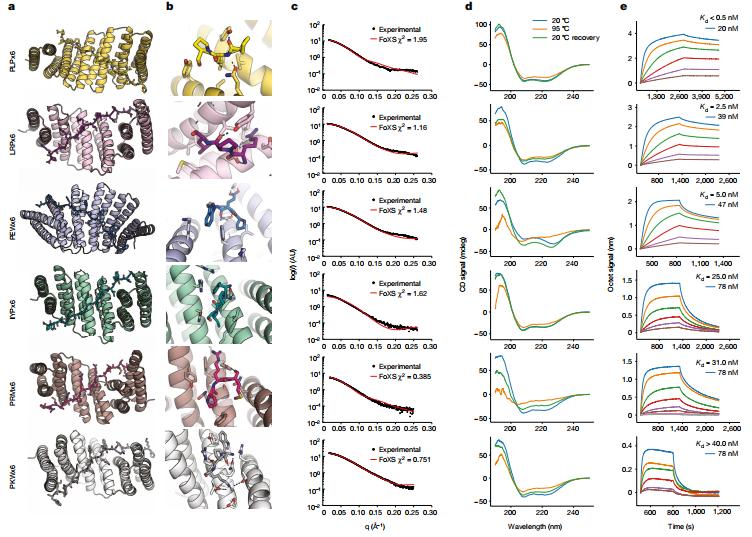 DavidBaker研发蛋白设计新方法，有望开发为识别任意短肽通用平台