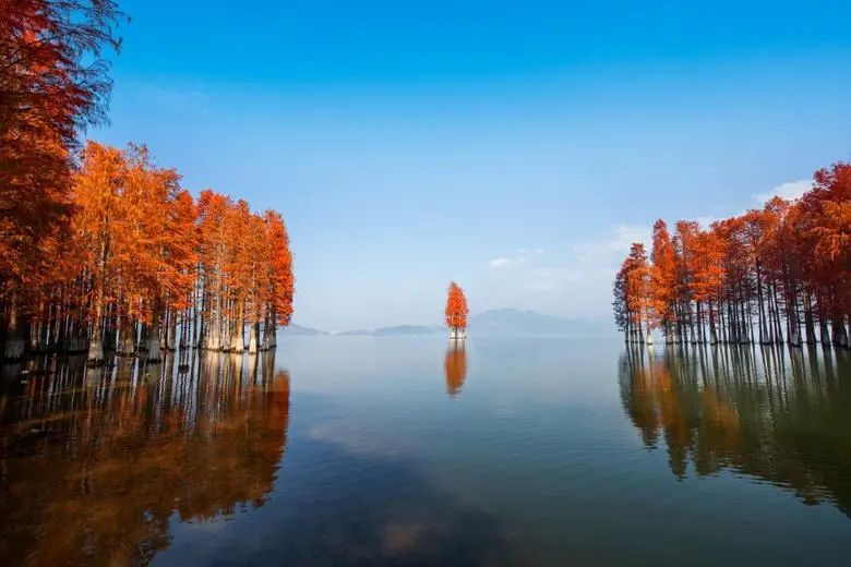 旅游指南浙江最值得去的十个地方,旅游指南浙江最值得去的九个地方