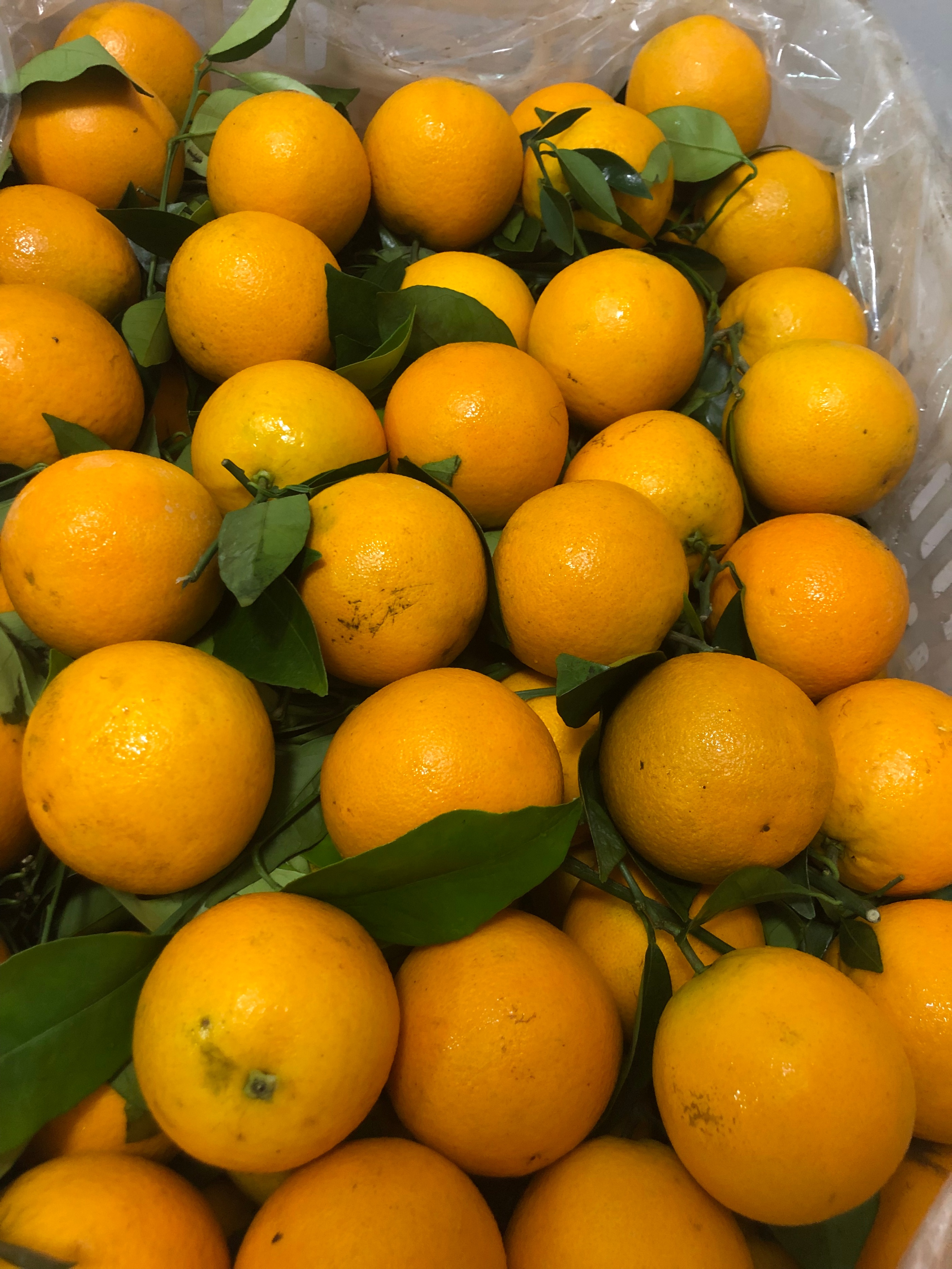 下班后的黄金3小时,我在深圳做副业卖水果(5)