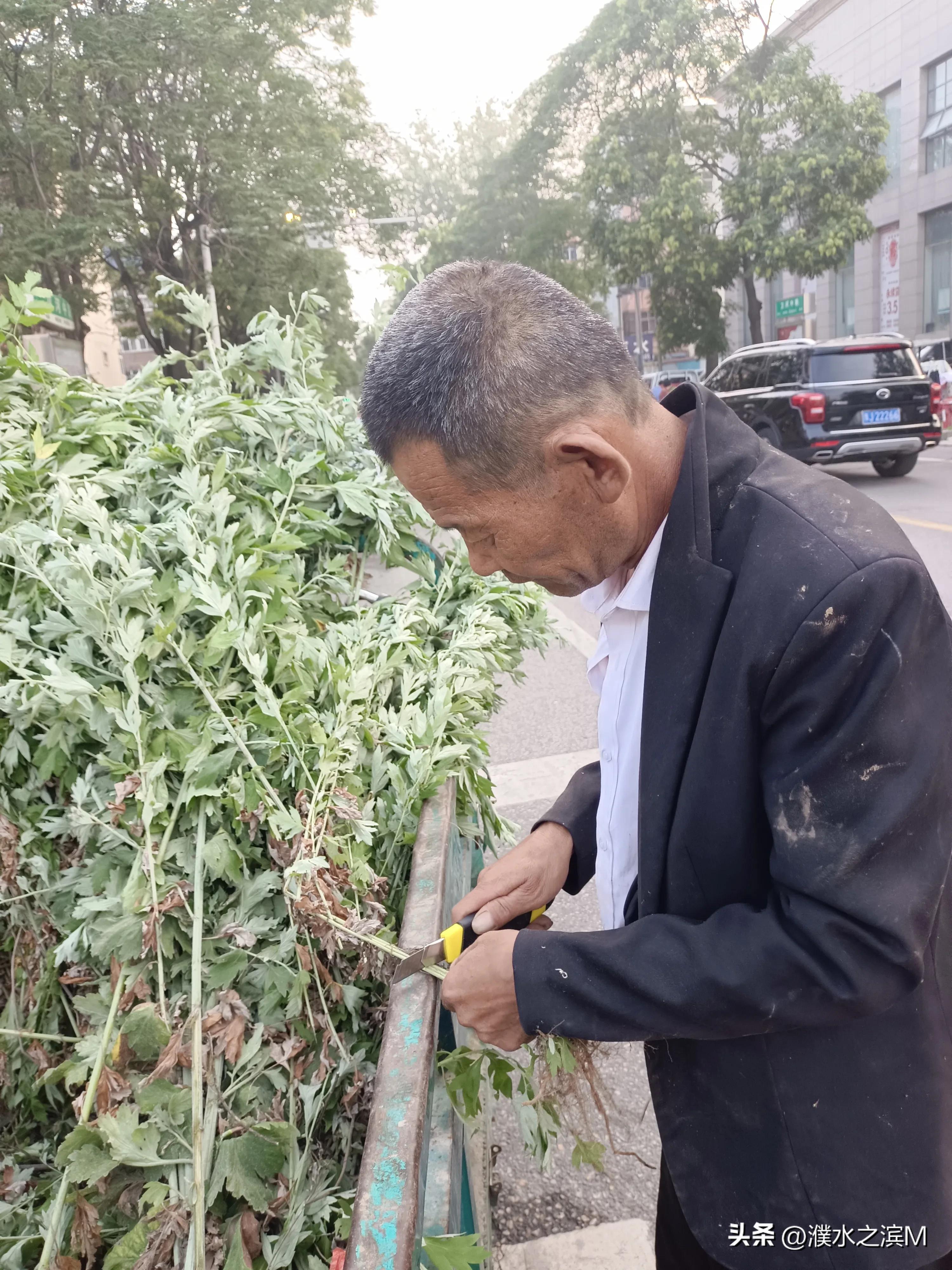 早市买包子,早市买股