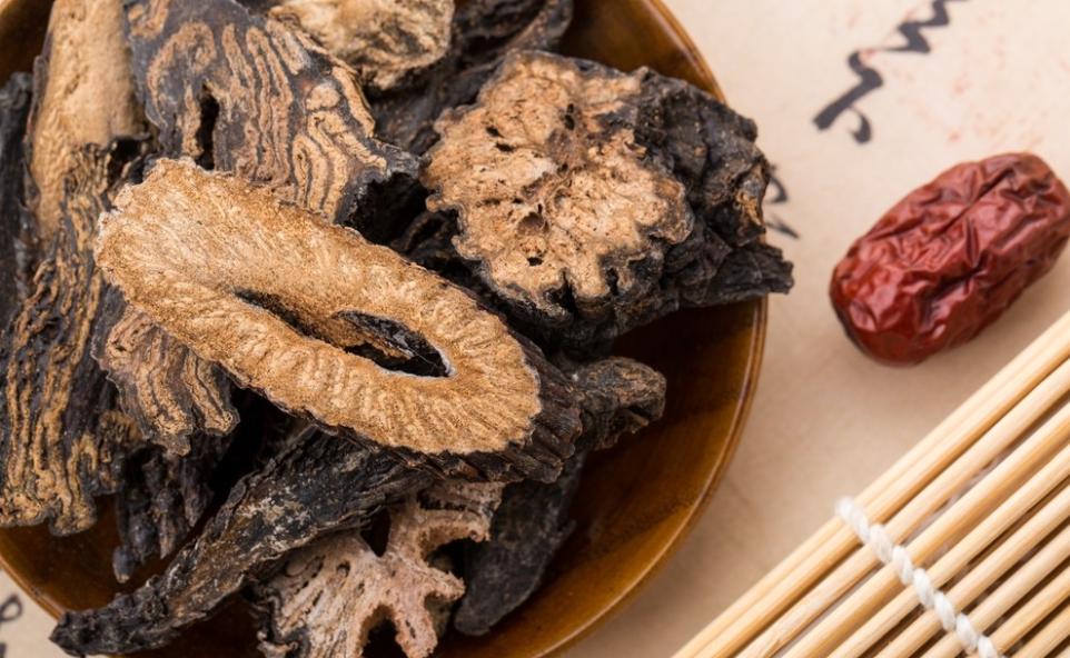 酒泉特产苁蓉,兰州特产药材肉苁蓉