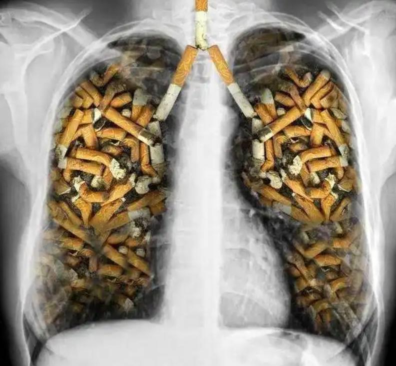 唯一一个禁烟成功的国家,唯一禁酒的国家