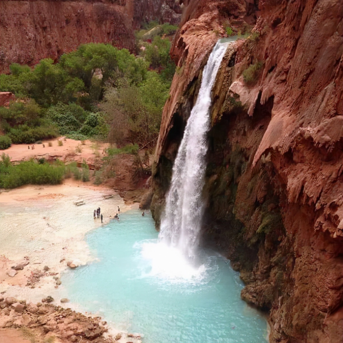 80个神奇的真实照片，不高兴的狗子，崎岖的铁路，倒立劈叉拉筋