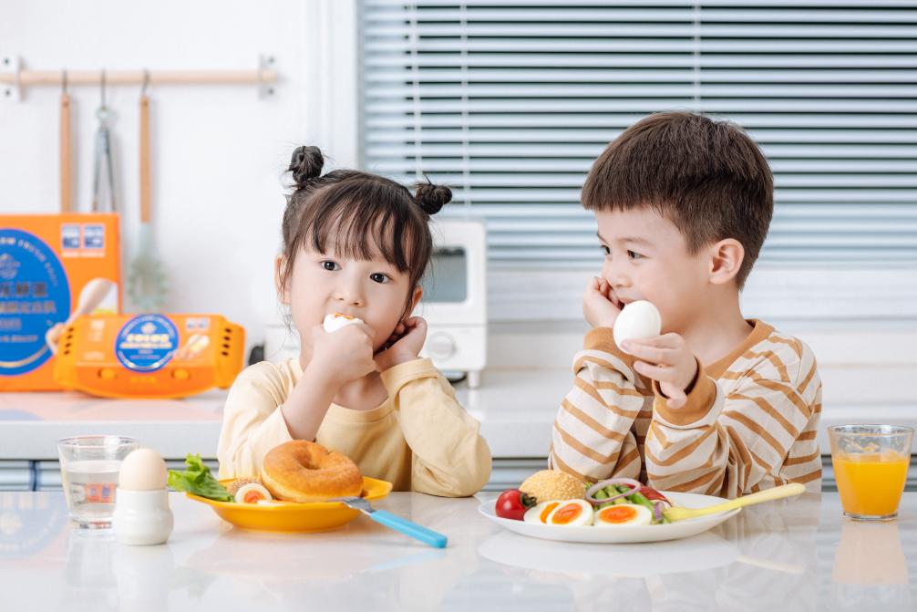 圣迪乐已经在鸡蛋行业深耕了20年,圣迪乐鸡蛋质量如何