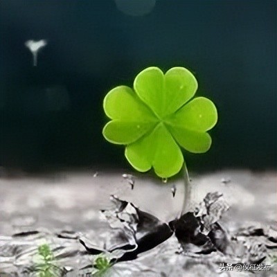 最新的城乡居民养老保险缴费标准,城乡居民养老保险缴费标准一览表