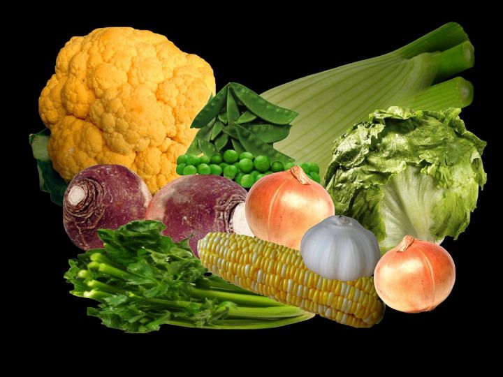 小城市适合做什么小项目,适合在小城市发展的小项目