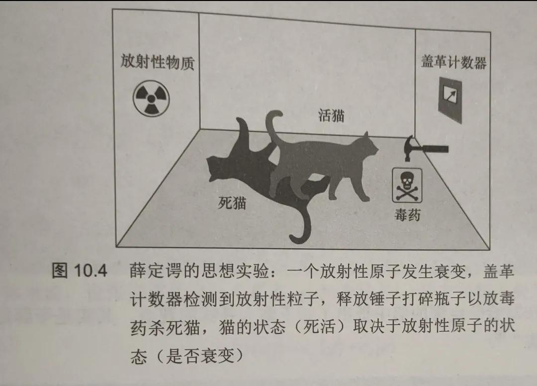 意识与量子力学关系,意识和量子有联系吗