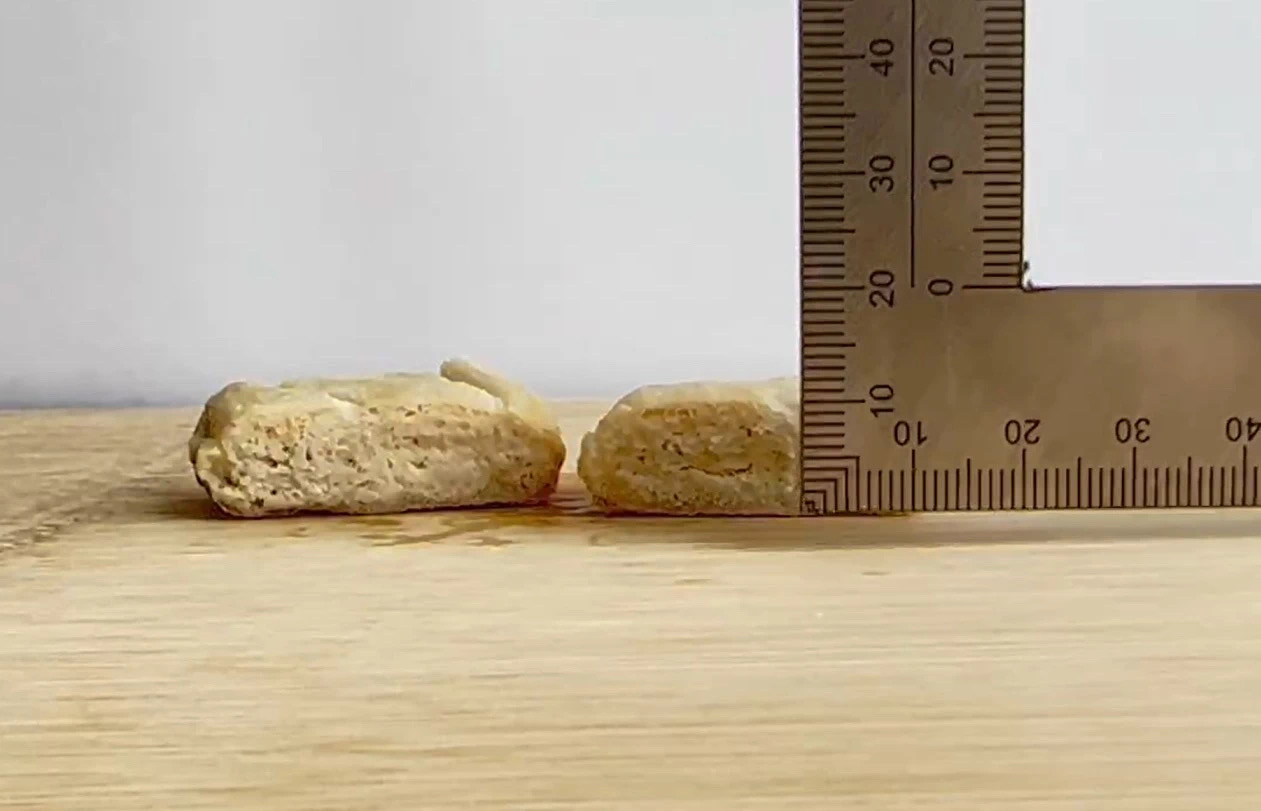 马斯克创业的团队,马斯克有哪些创业项目