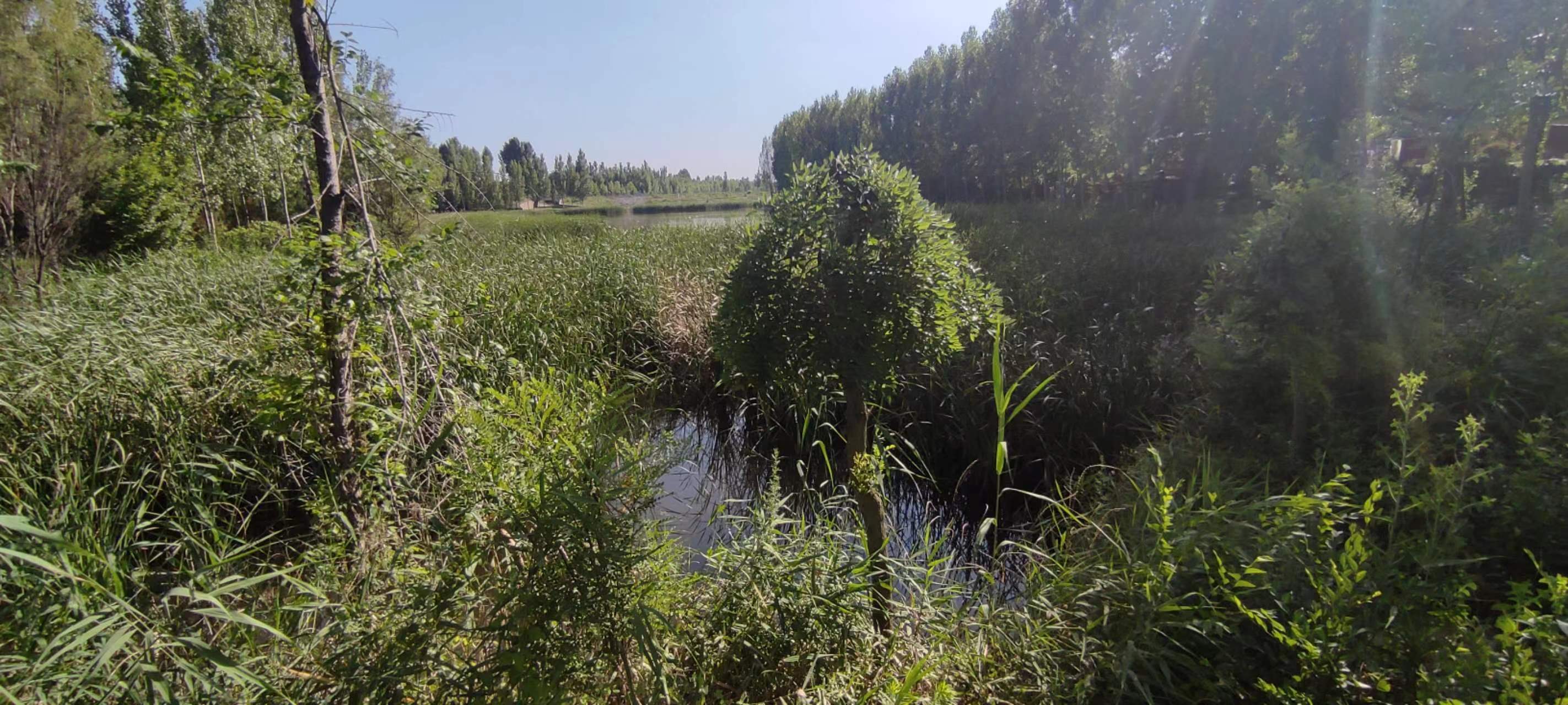 古中国考出彭蠡泽｜张笔魁