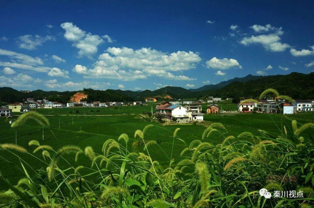 如何看待农民工资,农民工对薪资的需求