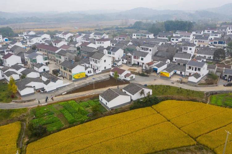 是不是每个农民都有自己宅基地,农田和宅基地的区别