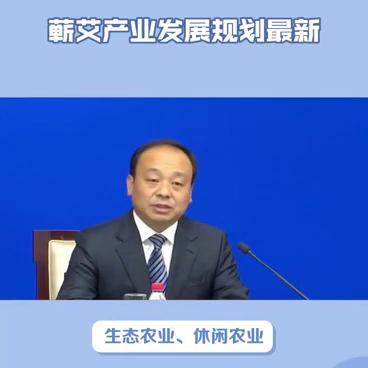 农村蕲艾产业发展规划,2024年蕲艾产业年会