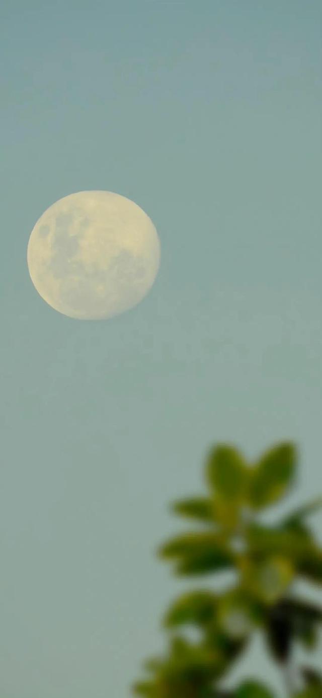 全功能图片处理神器,好用的图片处理神器