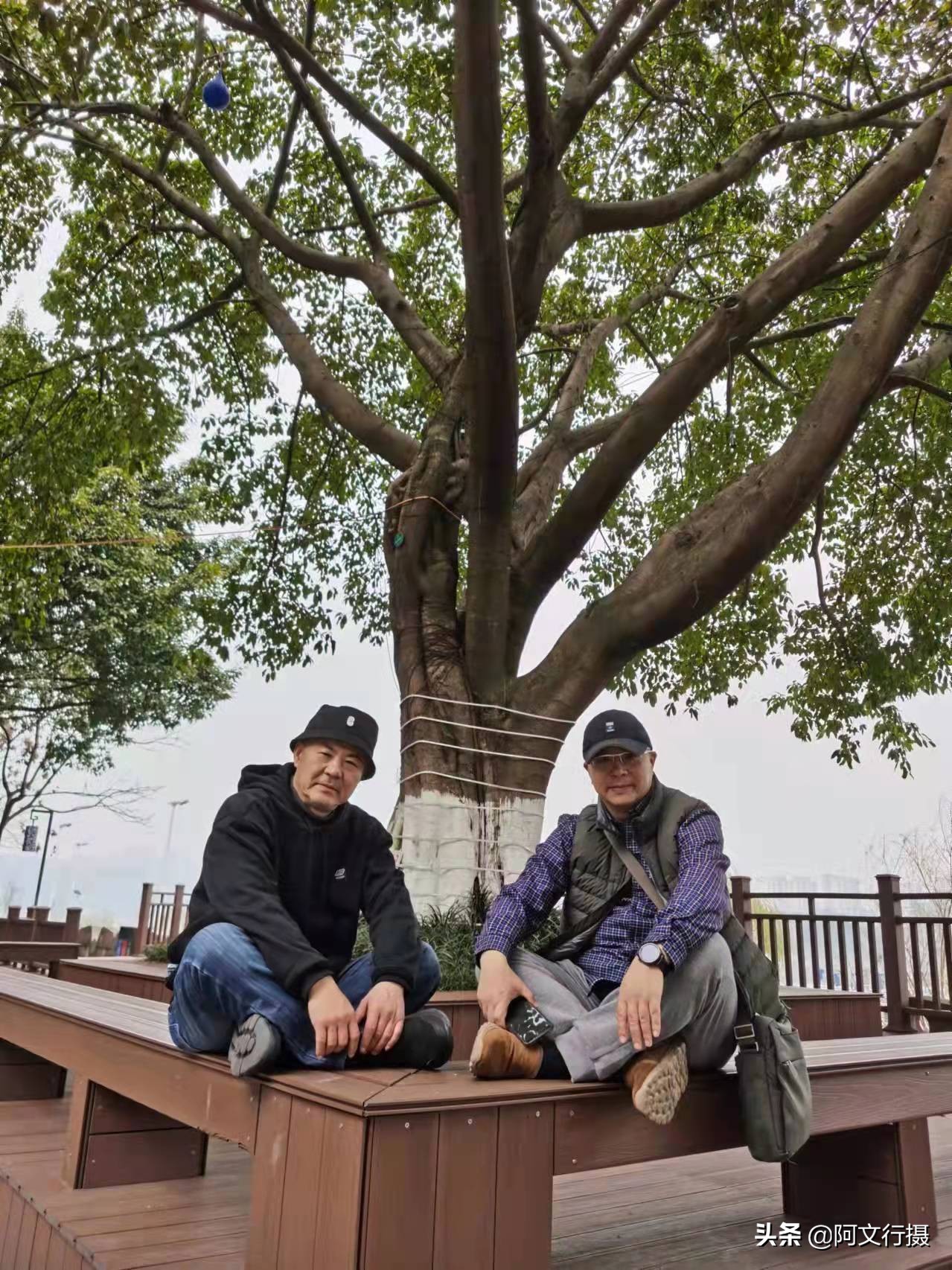 自驾游蜀南竹海一日游攻略,蜀南竹海自驾游旅游攻略图