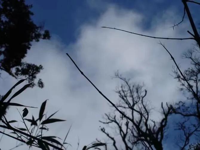 妯娌老是打我的孩子,妯娌的孩子经常打我家孩子