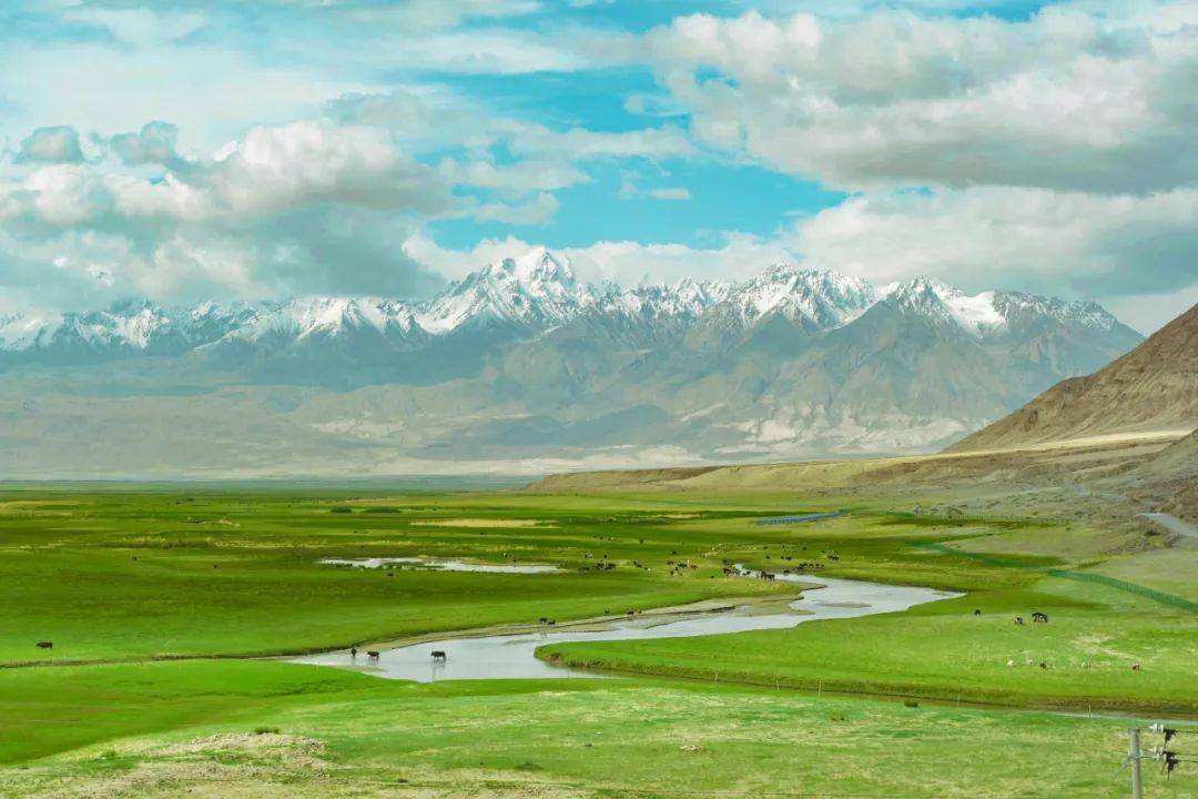 *疆新**为什么不包邮？看完*疆新**有多大就清楚了