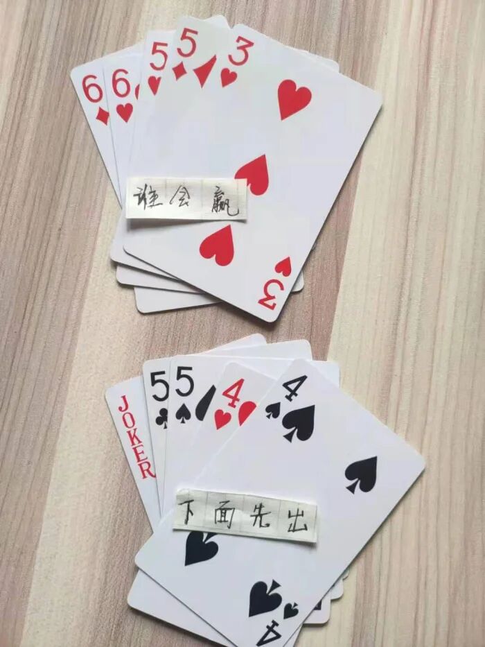 为什么鳄龟长大了背甲会变,鳄龟为什么养的背甲很大