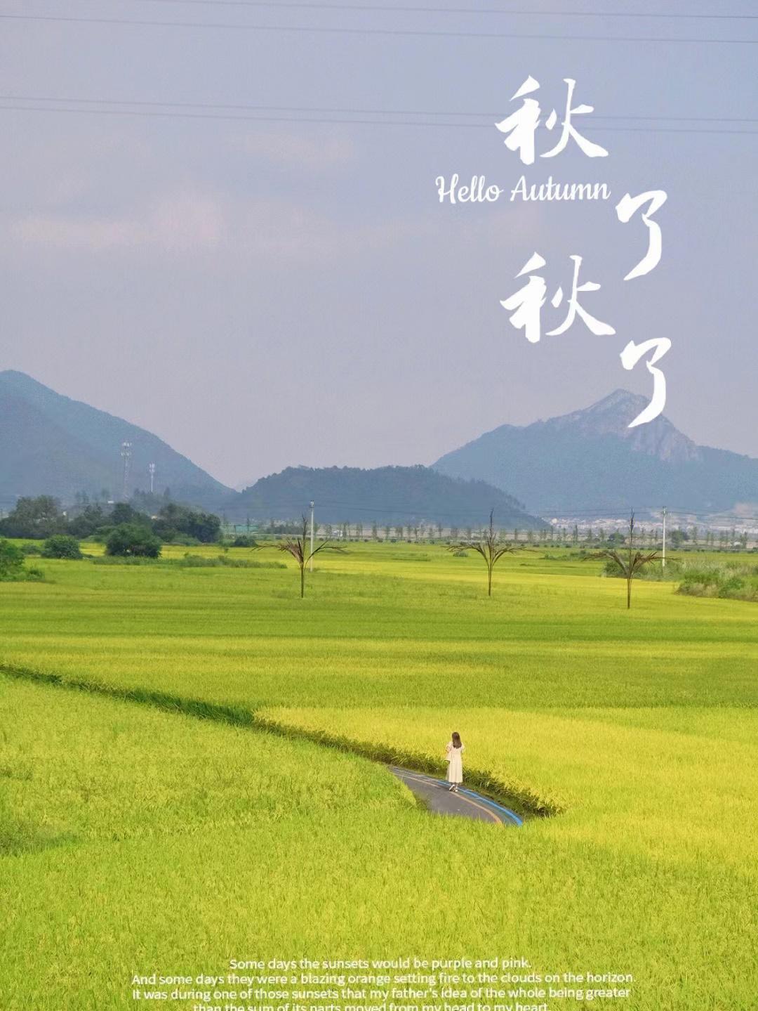 东海最后一处冷门小县城，藏了个海上仙子国，一口小海鲜封神