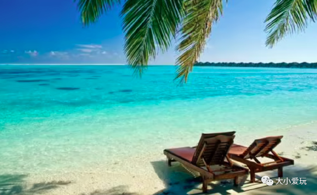 出国护照办理流程和费用标准,护照出国后还需要什么手续