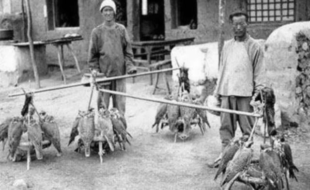 珍贵清朝照片！皇帝皇后合照，贵妇，格格，辫子被绑的人