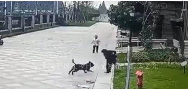 “就地办事，套套乱扔”，小树林成*战野**地…