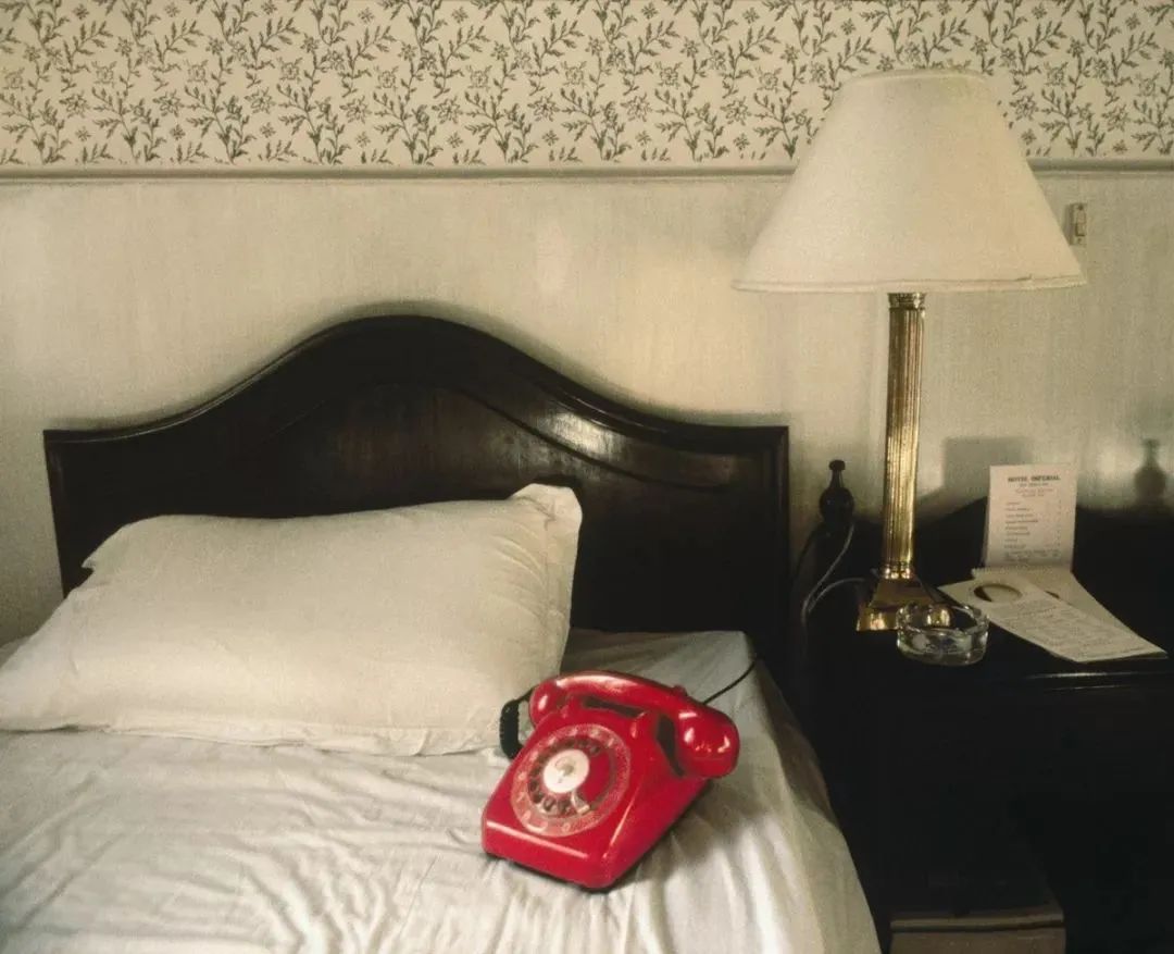 在无情的世界里有情的活着,在无情的世界里有份牵挂