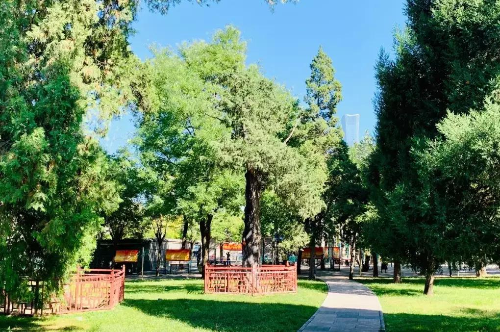 北京5环有啥好吃的,北京小吃一条街最好吃的排行榜