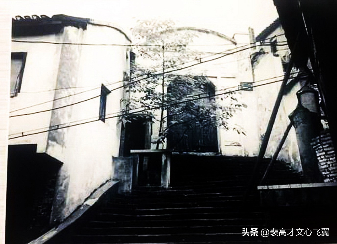 裴高才：行为世范百年弦歌—《陈时》追怀中国私立大学开山陈叔澄