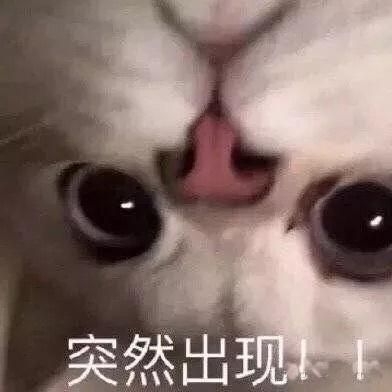 单片机diy教程,单片机入门作品