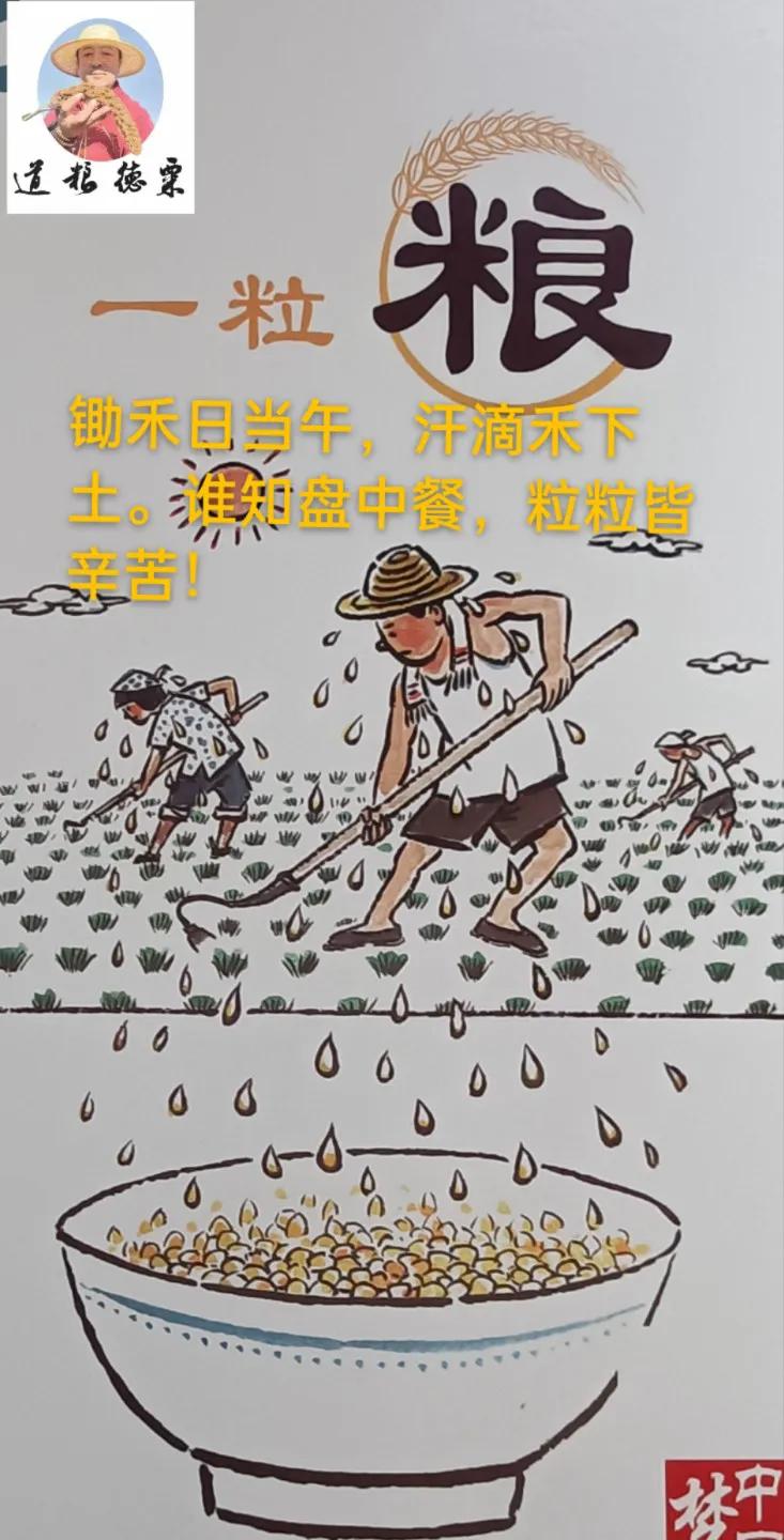 粮食安全和生态安全之间的关系,生态安全与粮食安全发展的措施