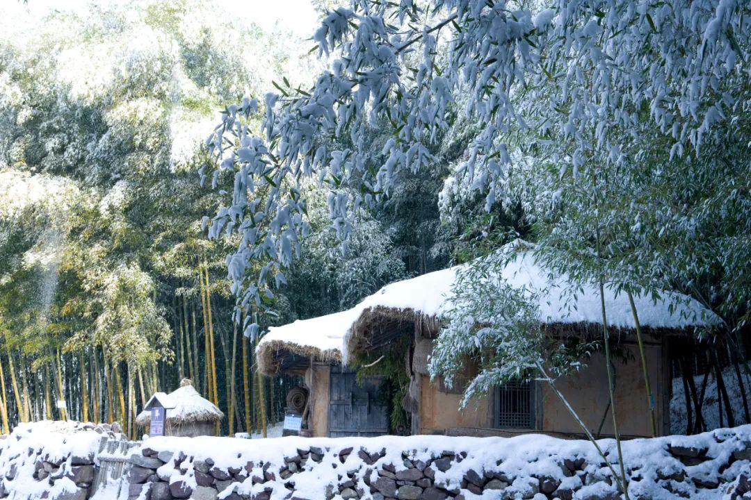 关于冬雪的诗句古诗词有哪些,雪的唯美诗句冬雪