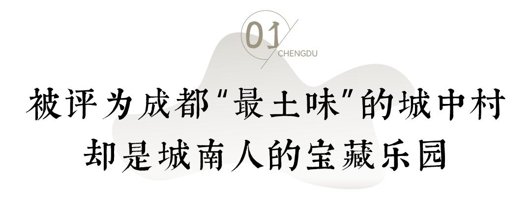 成都伏龙小区伏龙一街,土味城中村