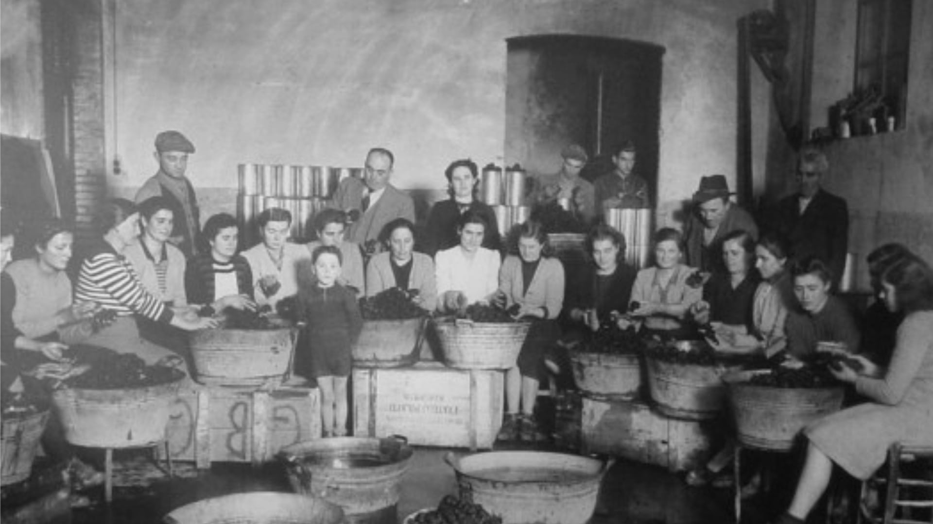 1块黑松露多少钱,黑松露白菜价