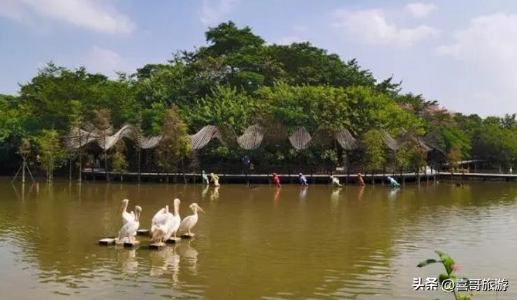 广东南沙区自驾游营地,南沙区自驾游路线