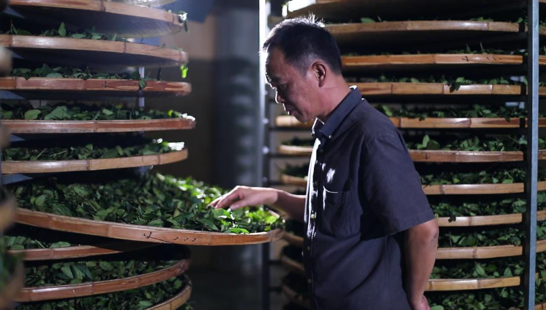 ​产业带备战春茶季，中小茶商在抖音电商应该如何发力？