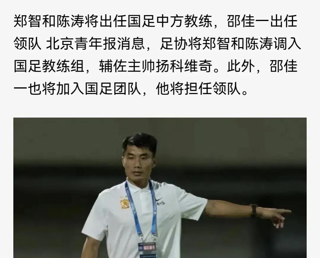 郑智有没有可能成为国足主帅,主教练对郑智最新真实消息