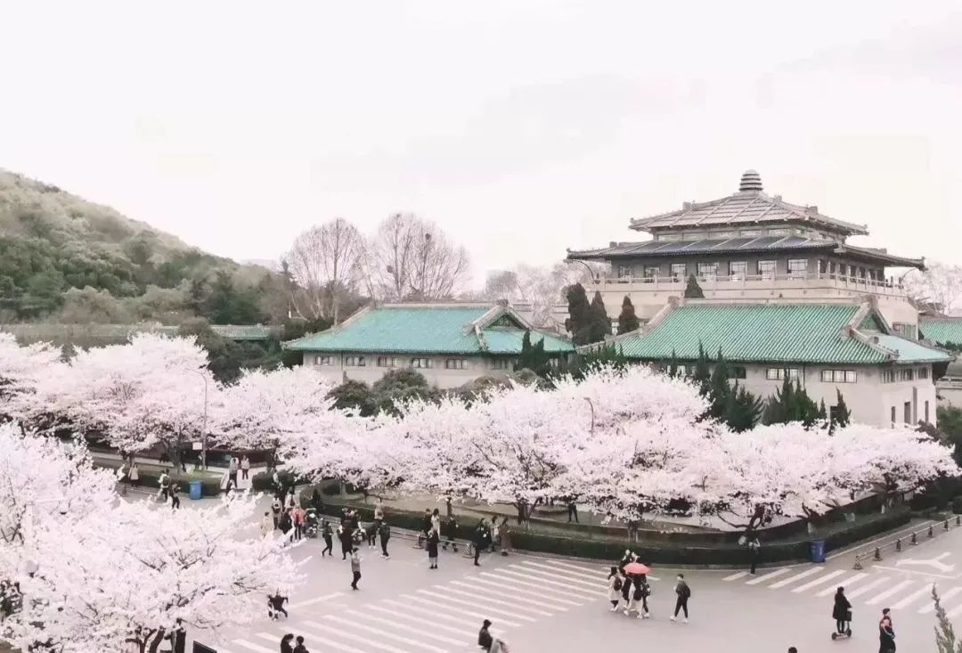 中国最美十所大学校园,十所全国最美大学