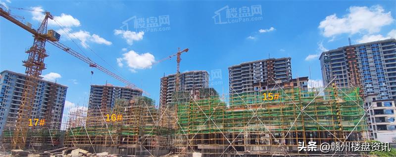 极少墅湾玺8月建设进度出炉！快来看你买的房子建的怎么样了？