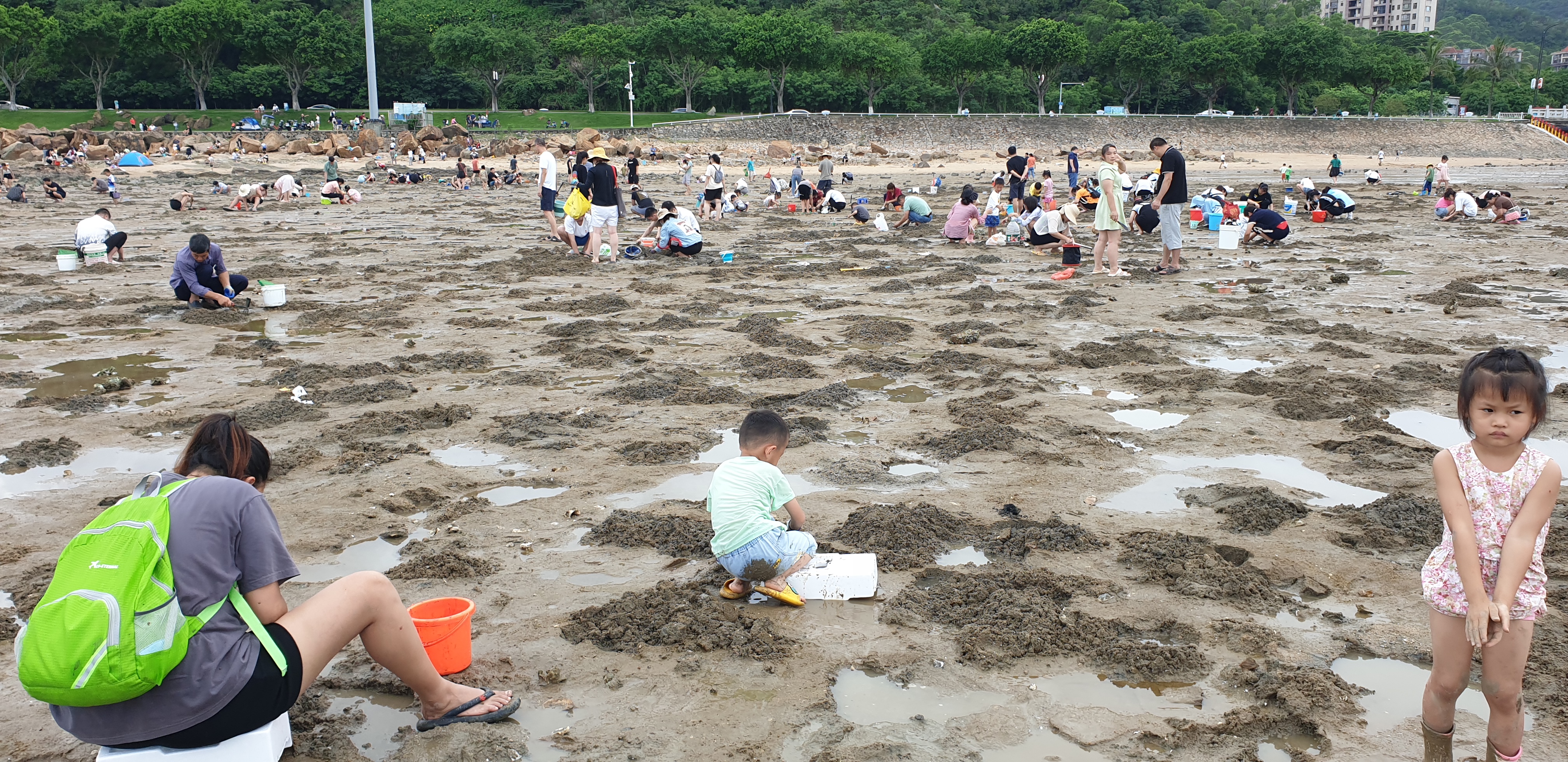 珠海的唐家湾,珠海唐家湾填海工程