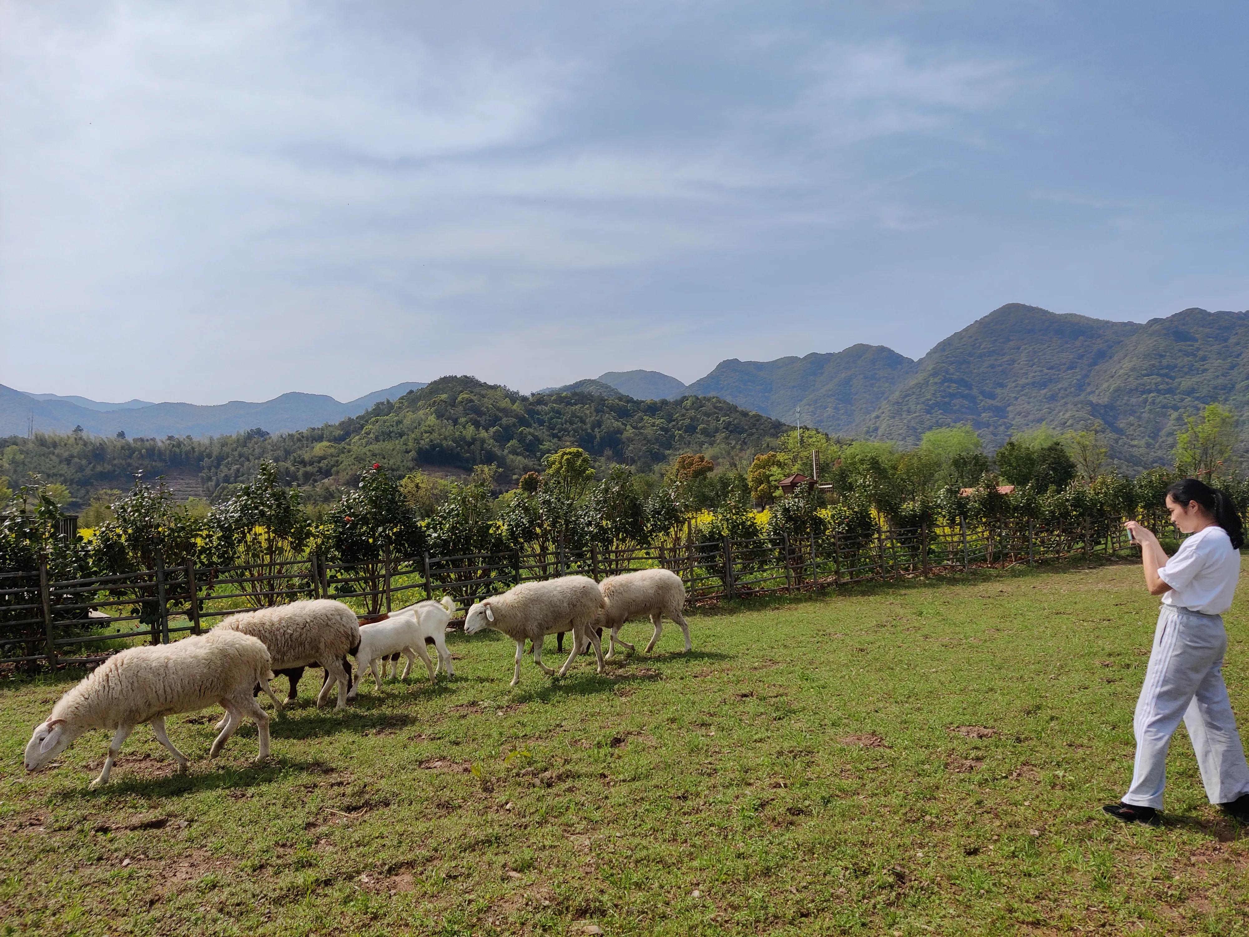 牙科新春活动,牙科医院寒假活动