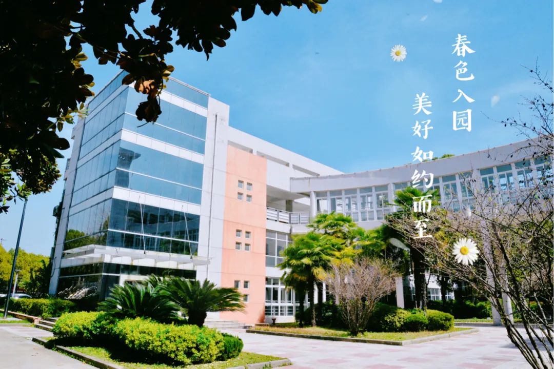 又获大奖！不愧是南京南大门最强初中