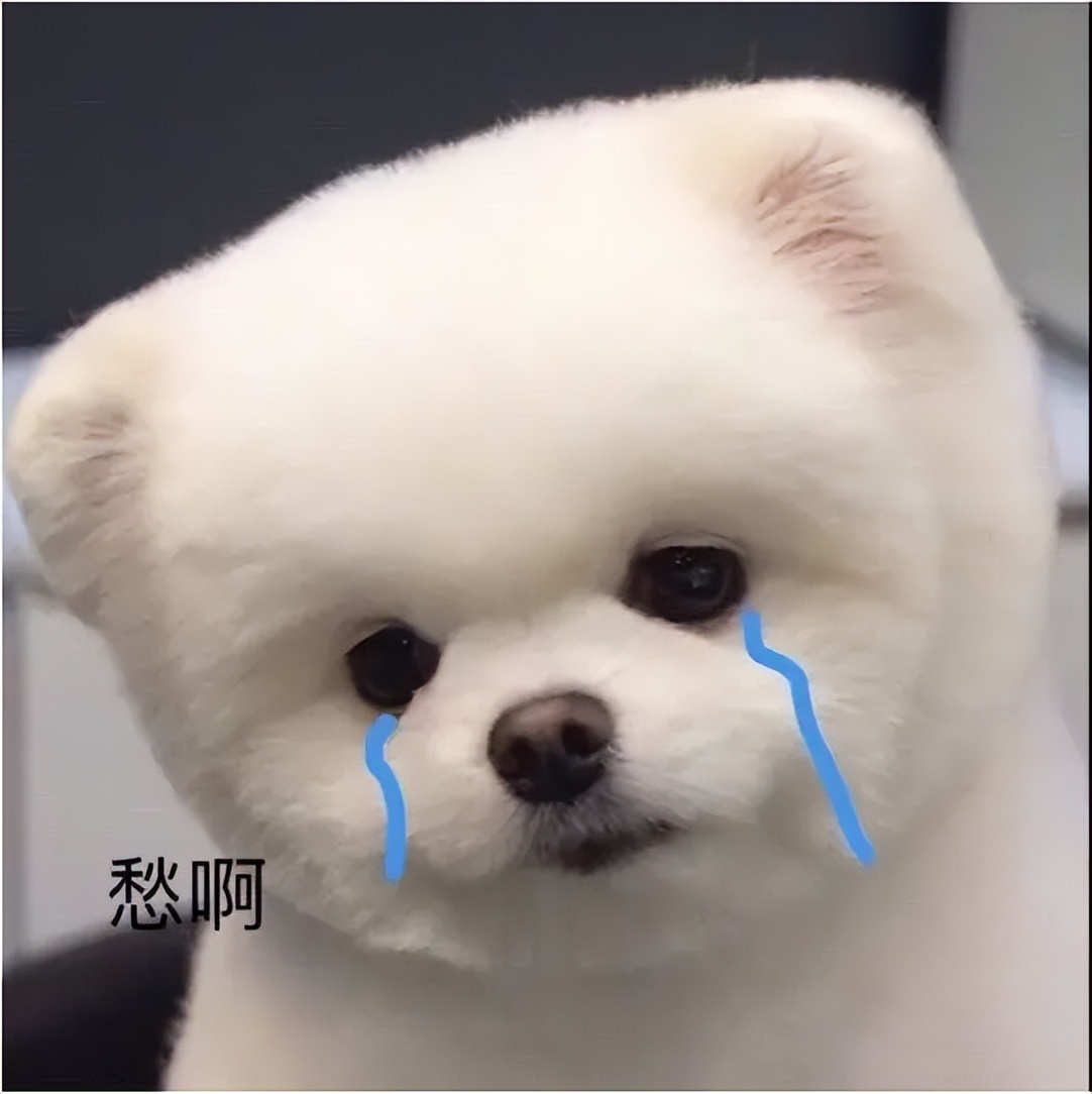 郑州配眼镜去哪里比较好高端,郑州配眼镜去什么眼镜店