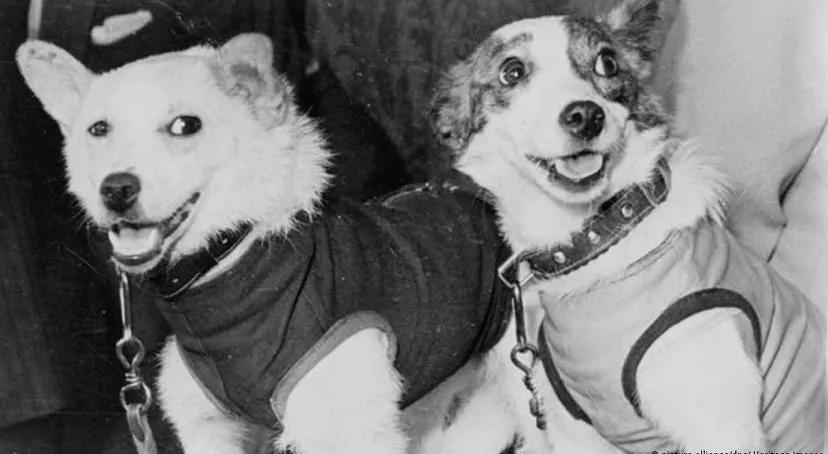 太空第一人加加林回来了吗,太空第一人加加林电影