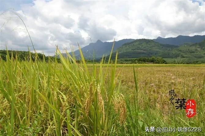 海口金牛岭的传说故事,三亚凤凰岭的传说和故事