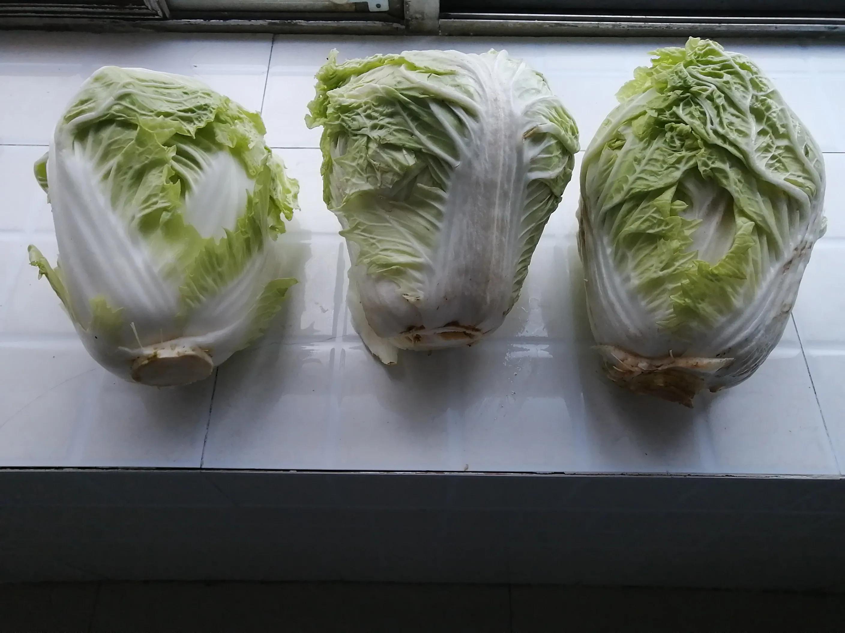 卖白菜赚钱的案例,为什么老人卖菜挣钱