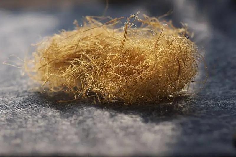 竹纤维地毯跟天丝地毯区别,植物纤维的地毯