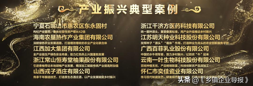 乡村振兴赋能计划人才典型案例,乡村振兴之文化振兴案例