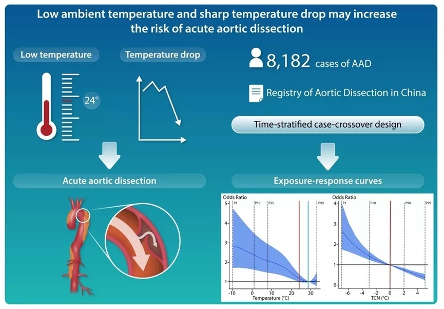 复旦上医,复旦上医最新排名