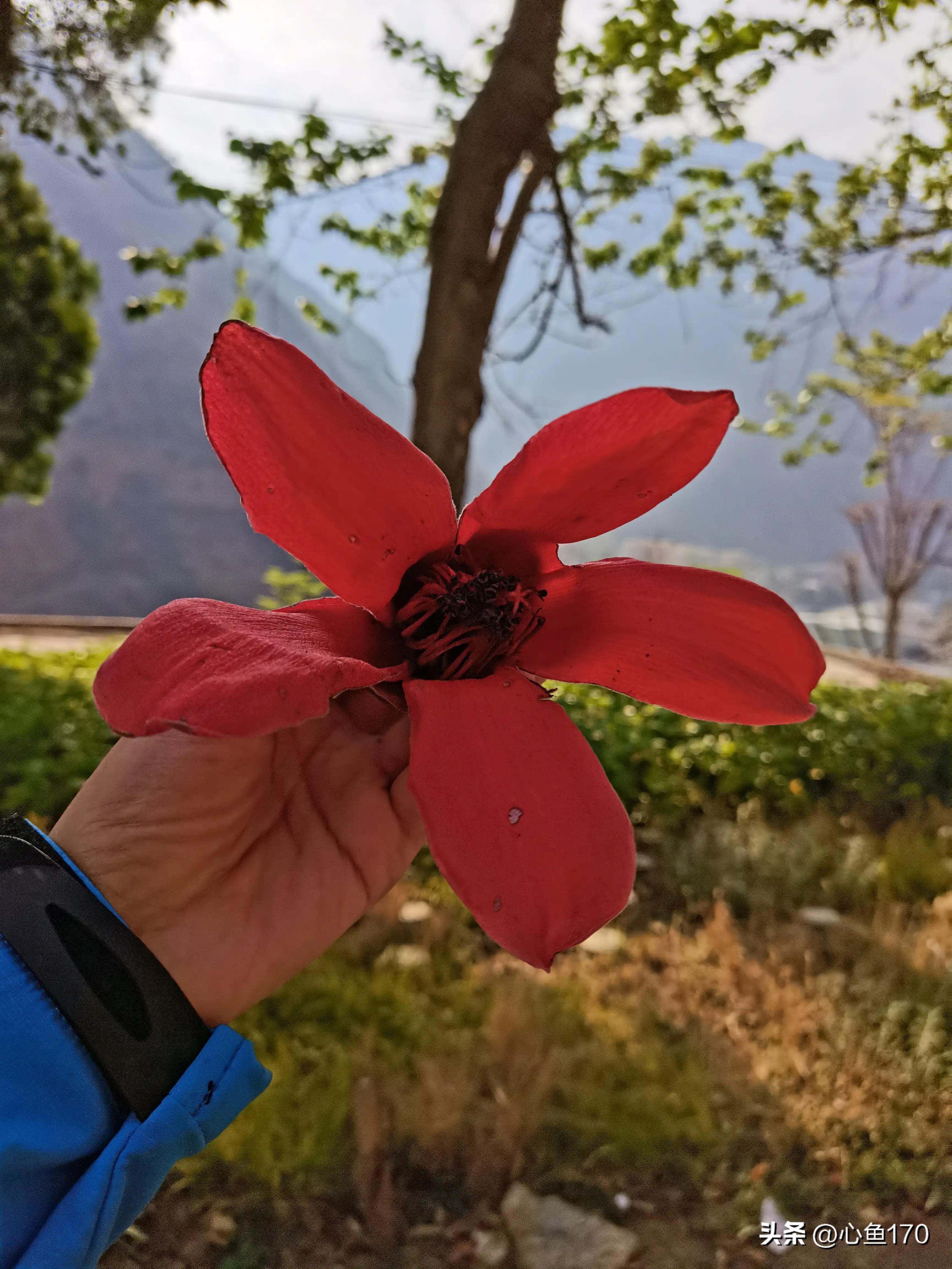 怒江泸水到贡山几公里,云南怒江七日游