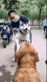 搞笑gif谁这么有才把车开上房顶了,搞笑gif段子这车开出去也太拉风了